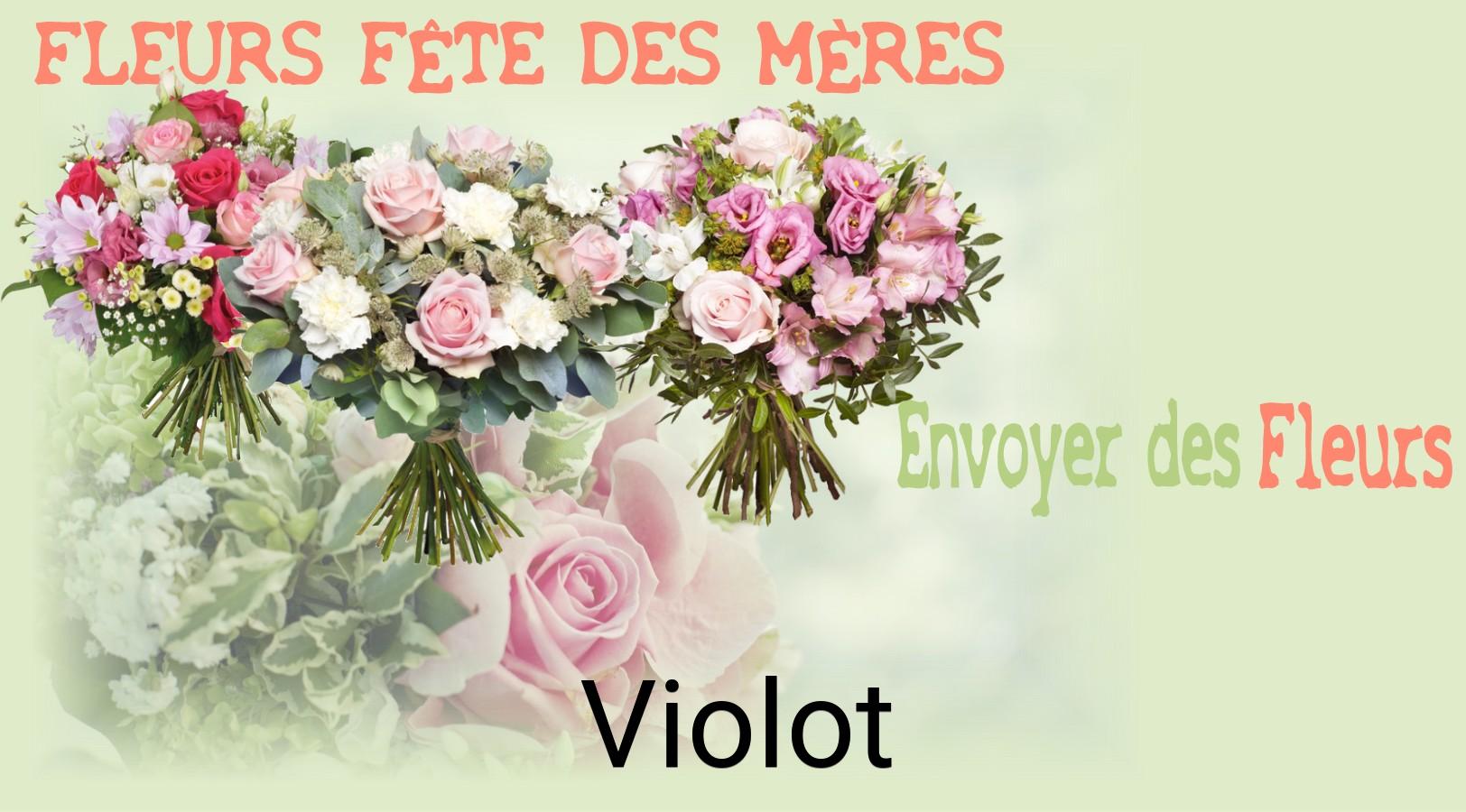 Bouquet de Fête des Mères livré à Violot